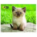 Купити Килимок Podmyshku Сіамський котик зелено-бежевий